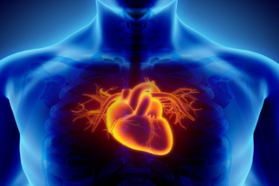 Heart Health: Strategies for a Strong and Healthy Heart.