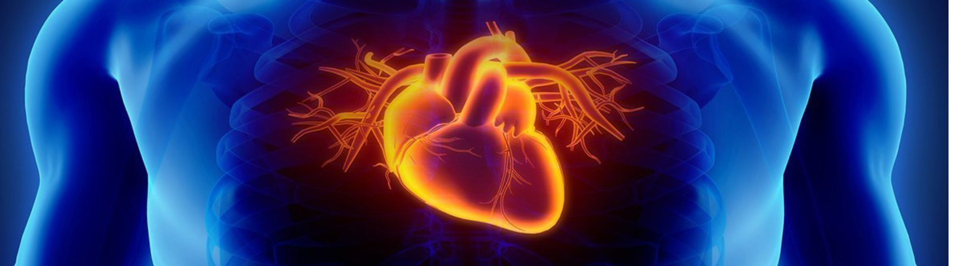 Heart Health: Strategies for a Strong and Healthy Heart.