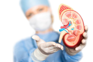 Caring for Your Kidneys: How to Keep These Vital Organs Healthy.
