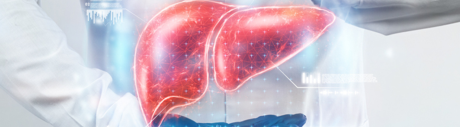 Understanding Liver Health: Essential Tips for a Healthy Liver.